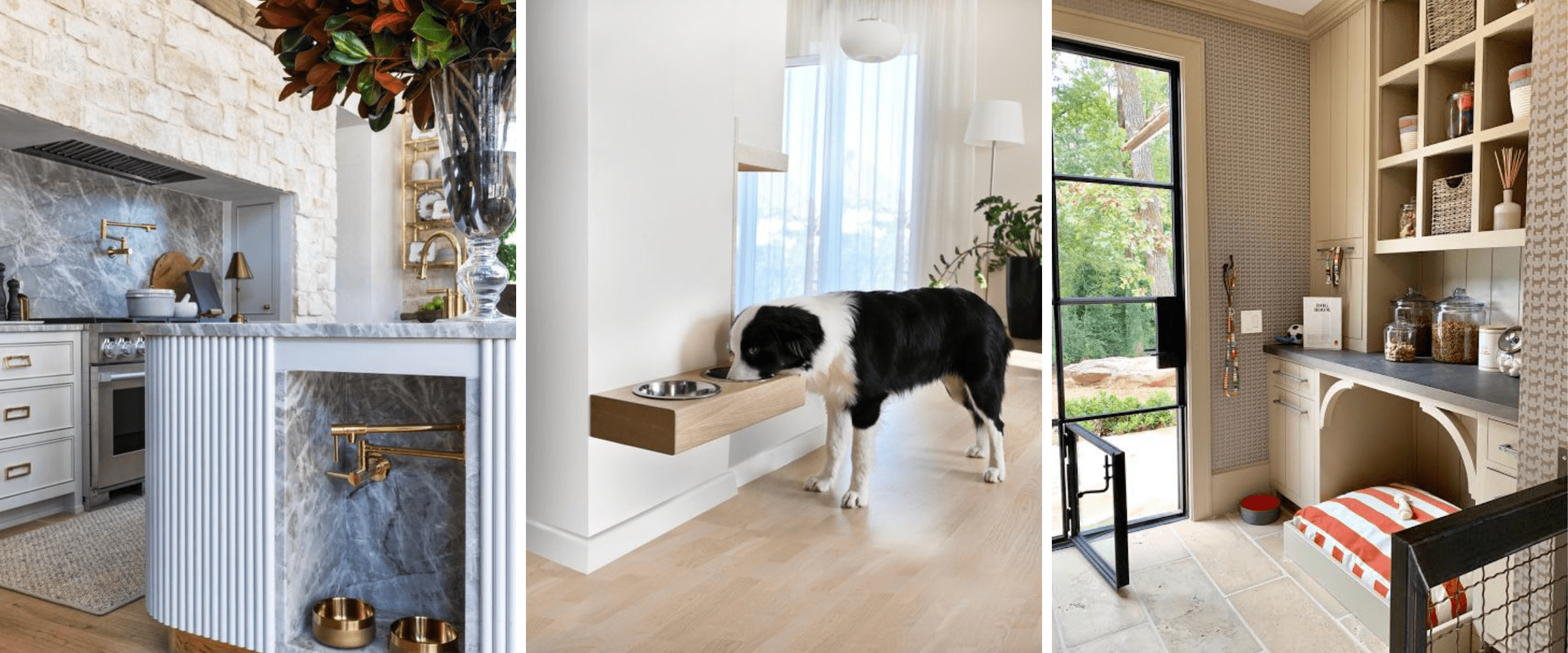 pet friendly home