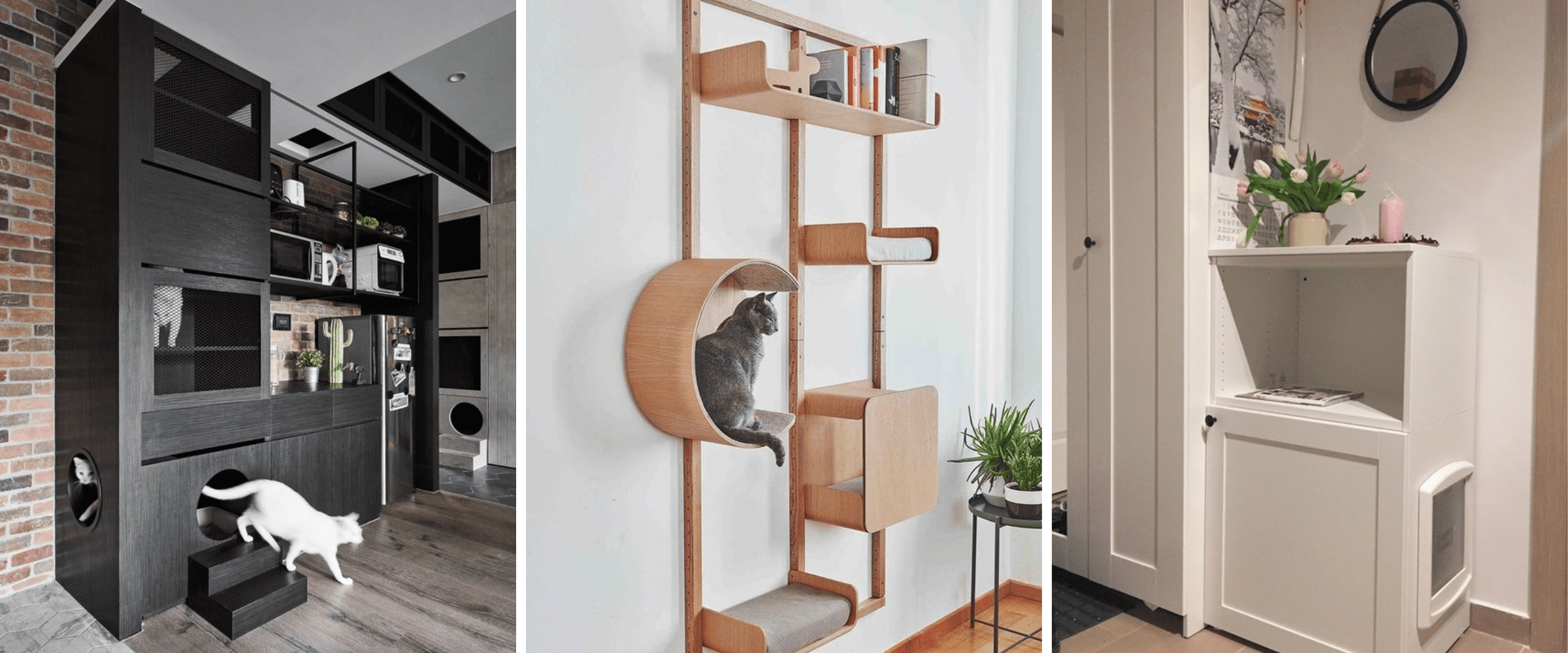 pet friendly home - cat spaces