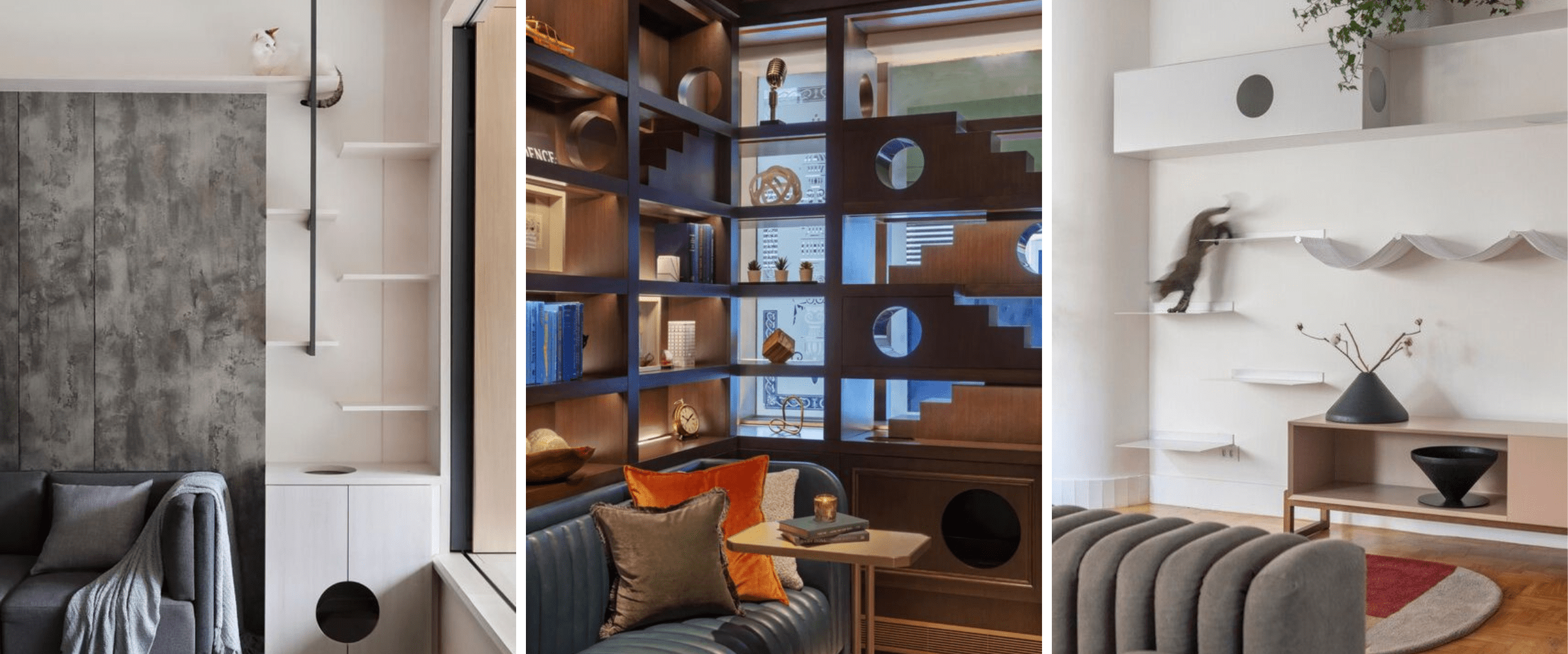 pet friendly home - cats