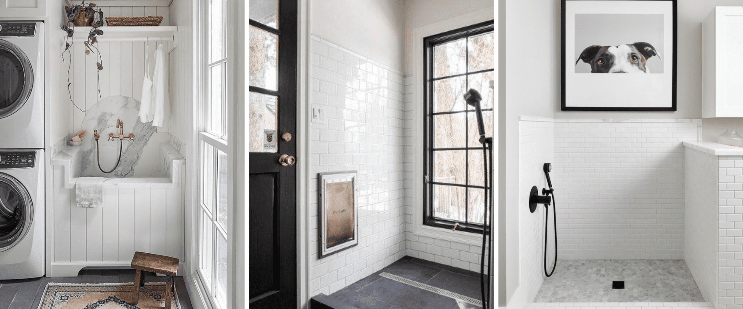 pet friendly home - dog baths
