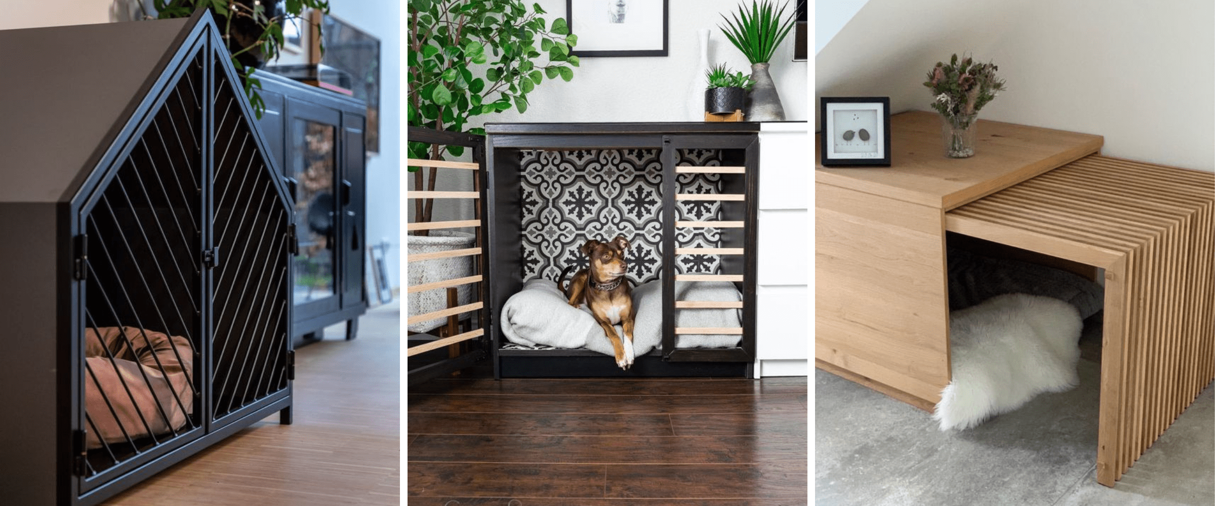 pet friendly home - dog crates
