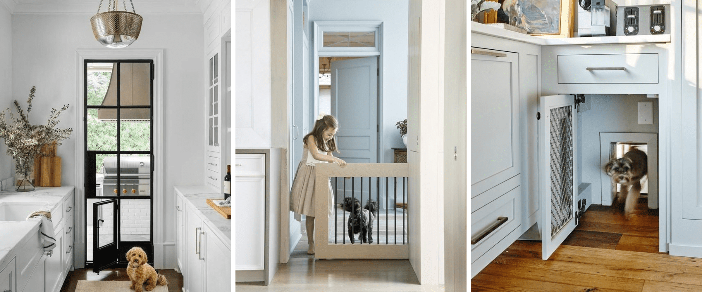 pet friendly home - dog doors