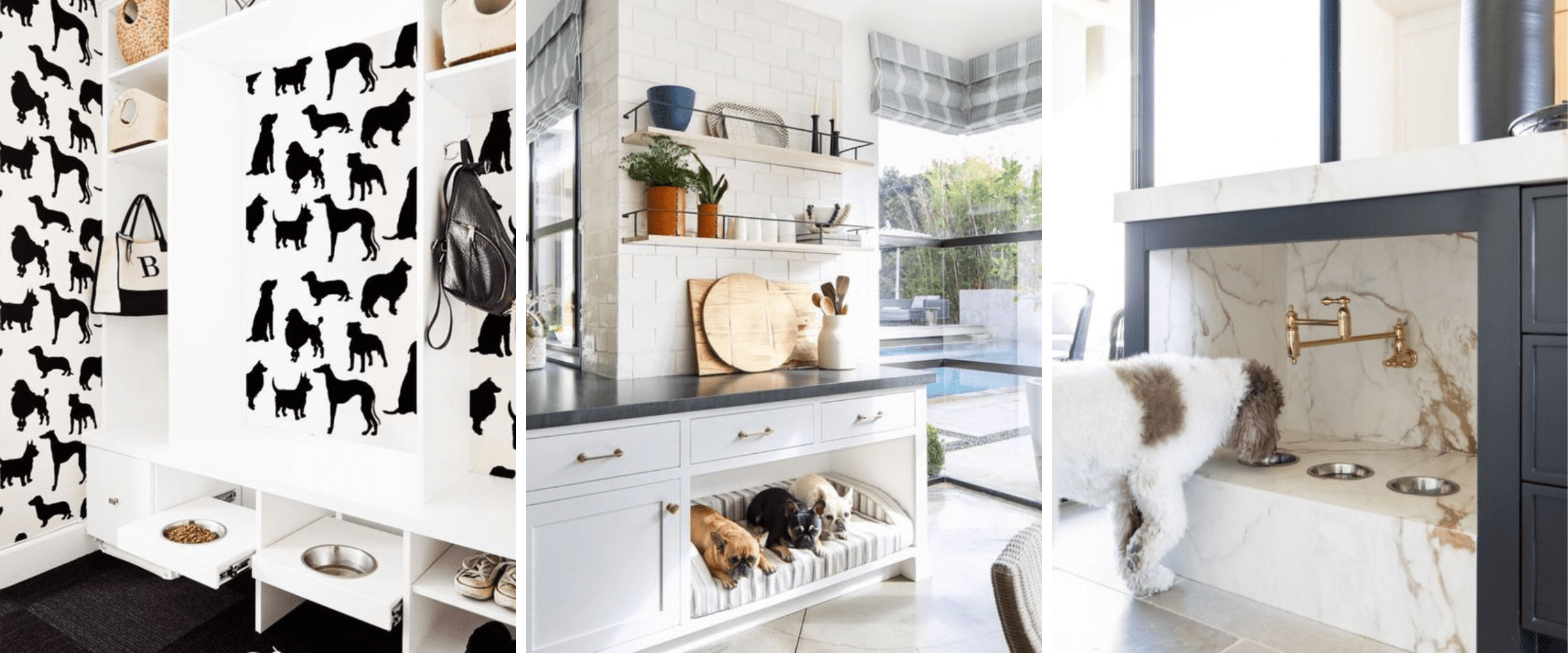 pet friendly home - flooring